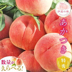 【ふるさと納税】《先行予約》 福島の桃 容量が選べる 伊達市産 桃 1.5kg 3kg 5kg【透過式光センサー選別】 あかつき特秀 桃 もも モモ 名産品 果物 フルーツ 国産 産地直送 ふるさと納税 予約 福島県 伊達市 F20C-278var