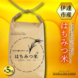 【ふるさと納税】伊達市産 はちみつ米 5kg F21C-162
