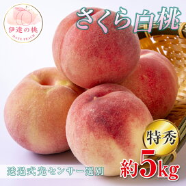 楽天市場】【ふるさと納税】空とぶくじら 節句人形(五月人形) 福島県 