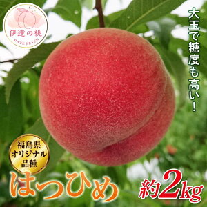 yӂ邳Ɣ[Łzy2026Noוs\zY ͂Ђ 2kg (7`10) ֓ʎ IWii ɒB̓  t[c ʕ   momo F20C-371