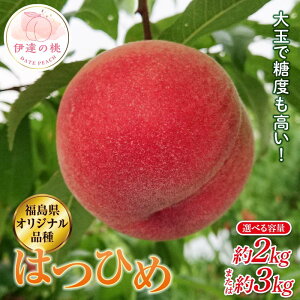 �y�ӂ邳�Ɣ[�Łz�_�I�ׂ�e�ʁ^�y2026�N�o�ו���s�\��z�������Y �͂Ђ� ��2kg�E��3kg �֓��ʎ��� �I���W�i���i�� �ɒB�̓� �� �t���[�c �ʕ� ���� ���� momo F20C-371var