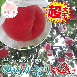 yӂ邳Ɣ[Łzy2026Noוs\zY ߂ 2kg (4`6) ֓ʎ Vi ɑ 傫 ł ɒB̓  t[c ʕ   momo F20C-372