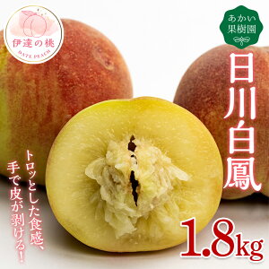 yӂ邳Ɣ[Łzy2026Noוs\zY 씒P 1.8kg (6`12) ʎ ɒB̓  t[c ʕ   momo F20C-447