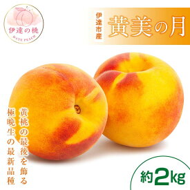 【ふるさと納税】【2026年出荷分先行予約】福島県産 黄美の月 約2kg (5～7玉) 高橋もも園 大玉 伊達の桃 桃 フルーツ 果物 もも モモ momo F20C-464