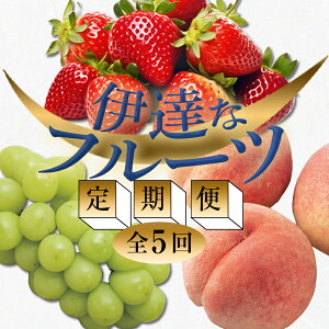 yӂ邳Ɣ[Łz2026NtJn̒ցɒBȃt[c (E3EԂǂ) ʕ t[c  C`S    uhE  ɒBs F20C-485