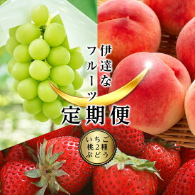 【ふるさと納税】＜2023年春から開始の定期便＞伊達なフルーツ定期便（いちご・もも2種・ぶどう) 果物 フルーツ 苺 イチゴ 桃 モモ 葡萄 ブドウ 福島県 伊達市 F20C-486