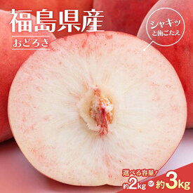 【ふるさと納税】2026年先行予約 福島県産 おどろき 約2kg 約3kg 内容量が選べる 硬め 硬い桃 かたい 数量限定 期間限定 桃 もも モモ 果物 くだもの フルーツ F20C-496var