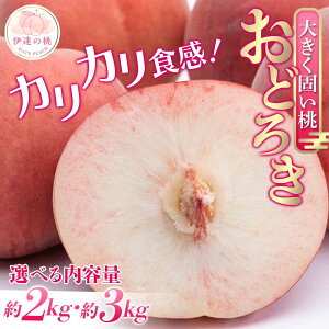 yӂ邳Ɣ[Łz_Iׂeʁ^y2026Noוs\zY ǂ낫 2kg 3kg _ƐY@l܂ ł ł ɒB̓  t[c ʕ   momo F20C-496var