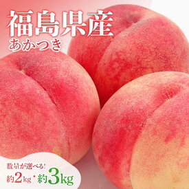 【ふるさと納税】2026年先行予約 福島県産 あかつき 約2kg 約3kg 内容量が選べる 数量限定 期間限定 桃 もも モモ 果物 くだもの フルーツ F20C-497var