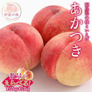 yӂ邳Ɣ[Łz_Iׂeʁ^y2026Noוs\zY  2kg 3kg _ƐY@l܂ ɒB̓  t[c ʕ   momo F20C-497var