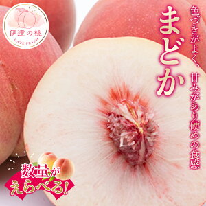 yӂ邳Ɣ[Łz_Iׂeʁ^y2026Noוs\zY ܂ǂ 2kg 3kg _ƐY@l܂ ɒB̓  t[c ʕ   momo F20C-498var