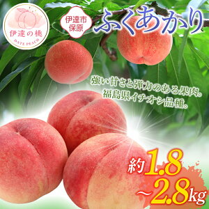 yӂ邳Ɣ[Łz_Iׂeʁ^y2026Noוs\zY ӂ 1.8kg 2.8kg ʎ ɒB̓  t[c ʕ   momo F20C-505var