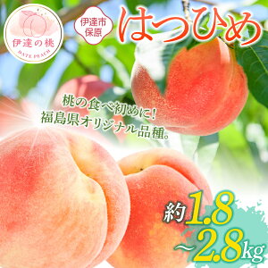 yӂ邳Ɣ[Łz_Iׂeʁ^y2026Noוs\zY ͂Ђ 1.8kg 2.8kg ʎ ɒB̓ @t[c ʕ   momo F20C-506var