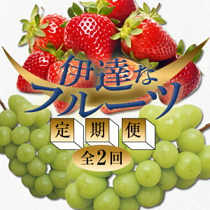 yӂ邳Ɣ[Łz2026NtJn̒ցɒBȃt[c (EԂǂ) ʕ t[c  C`S  uhE  ɒBs F20C-511