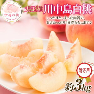 yӂ邳Ɣ[Łzy2026Noוs\zY 쒆 3kg (10) ʎВc@lĐU   蕨  Mtg ɒB̓  t[c ʕ   momo F20C-521