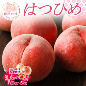 【ふるさと納税】＼選べる容量／【2026年出荷分先行予約】福島県産 はつひめ 約2kg 約3kg 約5kg 佐藤俊博 福島県オリジナル品種 伊達の桃 桃 フルーツ 果物 もも モモ momo F20C-551var