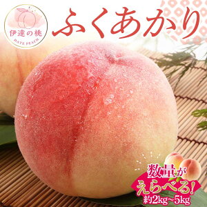 yӂ邳Ɣ[Łz_Iׂeʁ^y2026Noוs\zY ӂ 2kg 3kg 5kg r IWii ɒB̓  t[c ʕ   momo F20C-552var