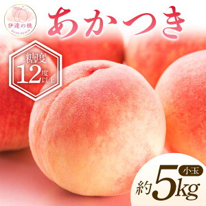 yӂ邳Ɣ[Łzy2026Noוs\zY  5kg (20`22) G  ߎZT[I ɒB̓  t[c ʕ   momo F20C-586