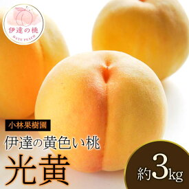 【ふるさと納税】【2026年出荷分先行予約】福島県産 光黄 約3kg (10～12玉) 小林果樹園 大玉 黄桃 伊達の桃 桃 フルーツ 果物 もも モモ momo F20C-589