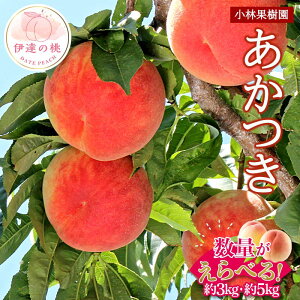 yӂ邳Ɣ[Łz_Iׂeʁ^y2026Noוs\zY  3kg 5kg щʎ ɒB̓  t[c ʕ   momo F20C-591var