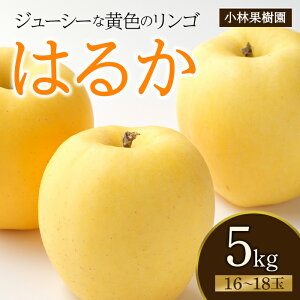 yӂ邳Ɣ[Łz yщʎzF ͂邩 5kgi16`18ʁj F20C-595