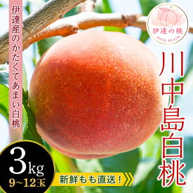 【ふるさと納税】《先行予約》【新鮮もも直送】 桃 川中島白桃 3kg（9～12玉） もも モモ 白桃 かわなかじまはくとう 果物 フルーツ 産地直送 国産 お取り寄せ 予約 ふるさと納税 福島県 伊達市 F20C-606