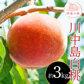 【ふるさと納税】【2026年出荷分先行予約】福島県産 川中島白桃 約3kg (9～12玉) 斎藤 常昭 新鮮もも直送 白桃 大玉 伊達の桃 桃 フルーツ 果物 もも モモ momo F20C-606