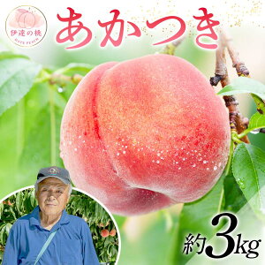 yӂ邳Ɣ[Łzy2026Noוs\z Y  3kg ֓ 폺 ɒB̓  t[c ʕ   momo F20C-607