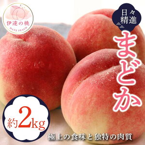 yӂ邳Ɣ[Łzy2026Noוs\zY ܂ǂ 2kg (5`9)  Kg  ł ɒB̓  t[c ʕ   momo F20C-609