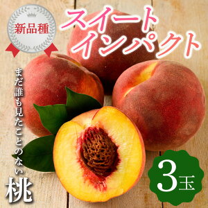 yӂ邳Ɣ[Łzy2026Noוs\zY XC[gCpNg 3  Vi ɒBsŊJ  ɒB̓  t[c ʕ   momo F20C-610