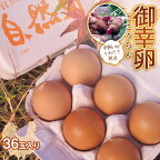平飼い卵 とれたて発送「御幸卵（ごこうらん）」36玉入り 伊達市 福島県 国産 養鶏場直送 卵 たまご 玉子 生卵 鶏卵 F20C-619