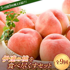【ふるさと納税】【2026年出荷分先行予約】福島県産 定期便 伊達の桃を食べ尽くすセット 全9回 各約2kg はつひめ ふくあかり あかつき まどか おどろき 川中島白桃 黄貴妃 ゆうぞら さくら白桃 伊達の桃 桃 フルーツ 果物 もも モモ momo F20C-632
