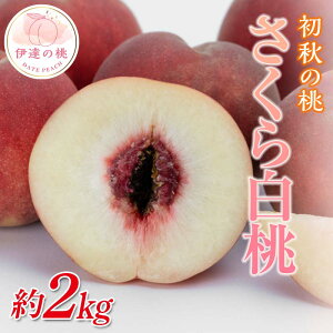 yӂ邳Ɣ[Łzy2026Noוs\zY 甒 2kg (5`8) ֓ʎ  ł  ɒB̓  t[c ʕ   momo F20C-636