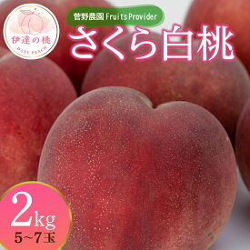 【ふるさと納税】《先行予約》 桃 さくら白桃 2kg（5～7玉） もも モモ 白桃 旬 果物 フルーツ 産地直送 国産 お取り寄せ 予約 ふるさと納税 福島県 伊達市 F20C-639