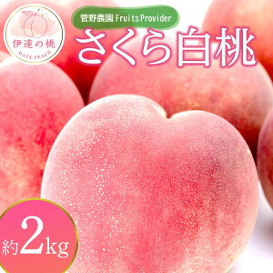 yӂ邳Ɣ[Łzy2026Noוs\zY 甒 2kg (4`7) _FruitsProvider  ł  ɒB̓  t[c ʕ   momo F20C-639