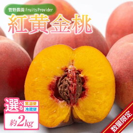 【ふるさと納税】【2026年出荷分先行予約】福島県産 紅黄金桃 約2kg (5～7玉) 菅野農園FruitsProvider 数量限定 大きめ フルーツ 果物 もも モモ momo F20C-641