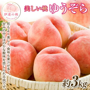 yӂ邳Ɣ[Łzy2026Noוs\zY 䂤 3kg (10) ʎВc@lĐU  ł ɒB̓  t[c ʕ   momo F20C-642