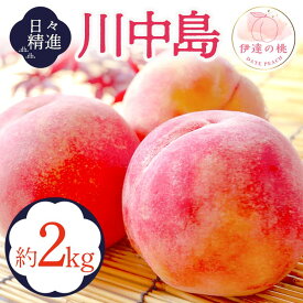 【ふるさと納税】【2026年出荷分先行予約】福島県産 川中島白桃 約2kg (5～9玉) 酒井 幸吉 白桃 大玉 伊達の桃 桃 フルーツ 果物 もも モモ momo F20C-646