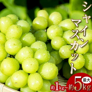 yӂ邳Ɣ[Łz2025NHEs\񁄑lCIseʂIׂt ɒBsY VC}XJbg 1kg`5kg t[c ʕ Ԃǂ }XJbg fU[g  ɒBs Iׂe F20C-659v