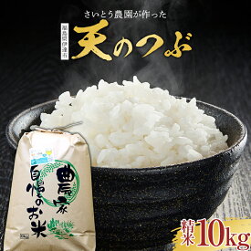 【ふるさと納税】 さいとう農園が作った天のつぶ 精米10kg 白米 ご飯 ごはん ライス 伊達市 F20C-688