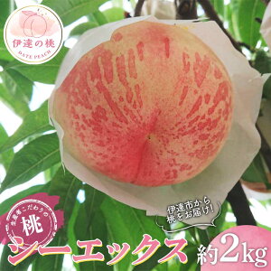 yӂ邳Ɣ[Łzy2026Noוs\zY V[GbNX 2kg (5`6) 勴ӂ[  ł ɒB̓  t[c ʕ   momo F20C-782