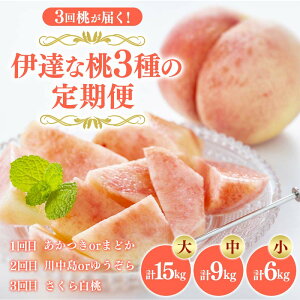 yӂ邳Ɣ[Łz_Iׂeʁ^2026NĂJn̒ց̓ 3񓍂͂IɒBȓ3̒ (2kg)E(3kg)E(5kg) ʕ s\ t[c     ɒBs