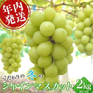yӂ邳Ɣ[Łz_N^ ̓~̃VC}XJbg 2kg 3~4[ Ԃǂ  t[c ʕ  F20C-799