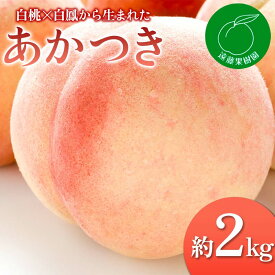 【ふるさと納税】【2026年出荷分先行予約】福島県産 あかつき 約2kg (5～9玉) 遠藤果樹園 伊達の桃 桃 フルーツ 果物 もも モモ momo F20C-829
