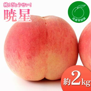 yӂ邳Ɣ[Łzy2026Noוs\zY Ő 2kg (5`9) ʎ 傤 ɒB̓   t[c ʕ   momo F20C-832