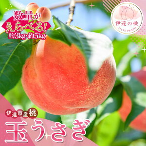 yӂ邳Ɣ[Łz_Iׂeʁ^y2026Noוs\zY ʂ 3kg 5kg Tg[_ Vi ܂ ł ɒBs̓  t[c ʕ   momo F20C-834var