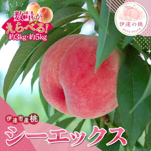 yӂ邳Ɣ[Łz_Iׂeʁ^y2026Noוs\zY V[GbNX 3kg 5kg Tg[_  ł ɒB̓  t[c ʕ   momo F21C-228var