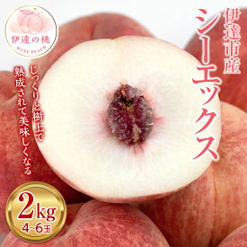 【ふるさと納税】 福島の桃 シーエックス 2kg～5kg 【あかい果樹園】 先行予約 フルーツ 果物 もも モモ momo F20C-444var