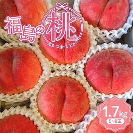 【ふるさと納税】2025年出荷分 先行予約 五十沢ブランド 福島の桃 桃（あかつきorまどか）1.7kg（5〜8玉） F20C-935