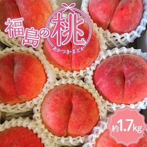 yӂ邳Ɣ[Łzy2026Noוs\zY  or ܂ǂ 1.7kg (5`8) ۂ̊`̗Ko؂Ƒg ܏\uh ɒB̓  t[c ʕ   mo